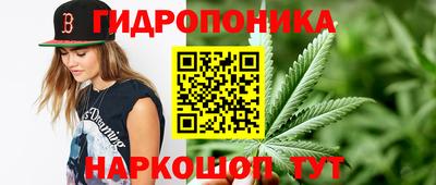 jwh Пушкино