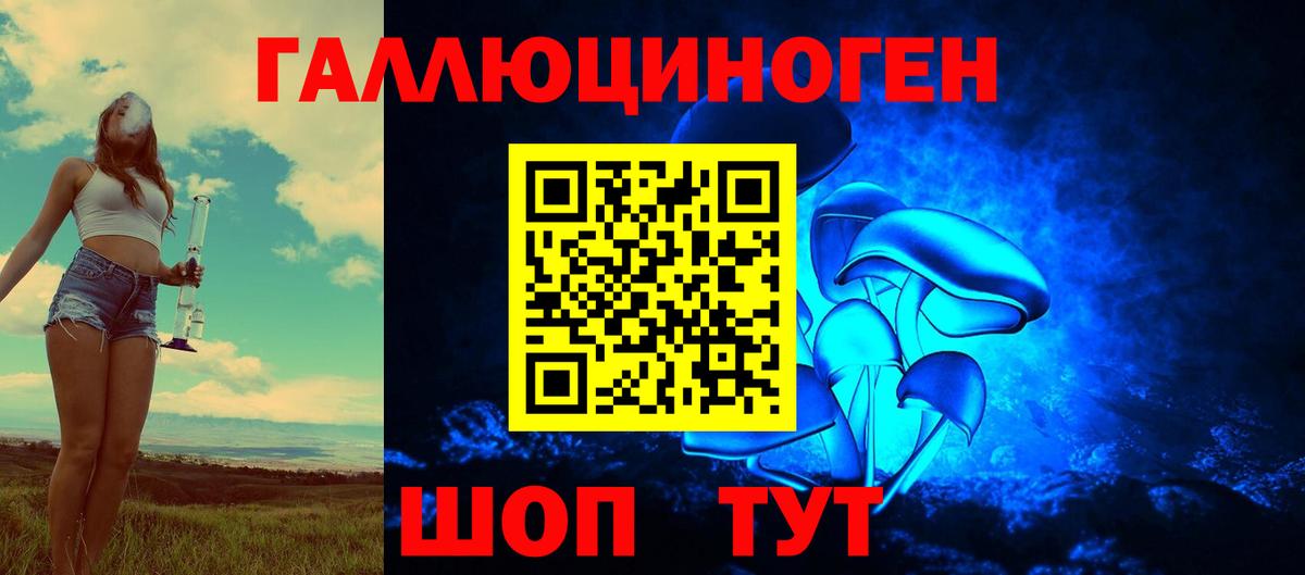 Псилоцибиновые грибы Psilocybine cubensis  Псилоцибиновые грибы Psilocybe  хочу   Вход с VPN  Саров 